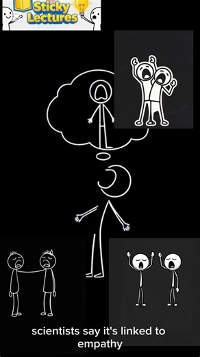 “Why Do We Yawn When Others Yawn? 😮 The Science Explained!”#StickyLectures #YawningScience #Shorts