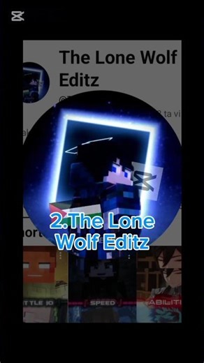 top 10 my fovorite editors || minecraft ||