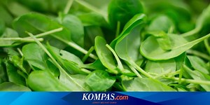 Manfaat Bayam yang Wajib Diketahui, Sumber Zat Besi dan Kalsium