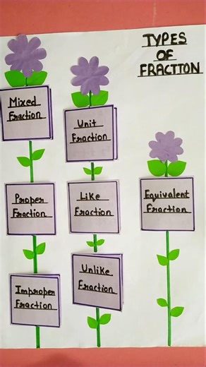 Types Of Fraction Project😍 #tlm #maths #shorts