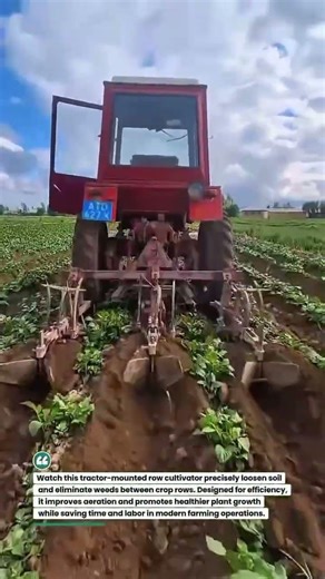 Precision Row Cultivator in Action 🚜🌱 #FarmingTech #AgriMachinery #TractorLife