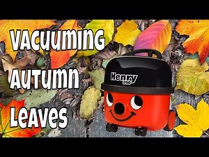 👠 WOMAN VACUUMING CARPET full of Leaves ~ Relaxing VACUUM CLEANER SOUND ~ WHITE NOISE Better Sleep