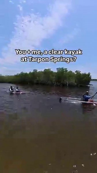 Explore the beautiful Anclote River on a guided clear kayak tour in Tarpon Springs, Florida! 🛶