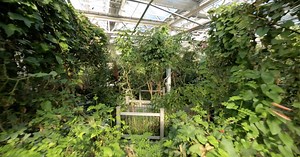 Butterfly Pavilion hopes to educate Coloradans while also providing a break from the cold