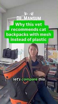 A veterinarian explains: mesh vs. plastic cat backpacks 🎒