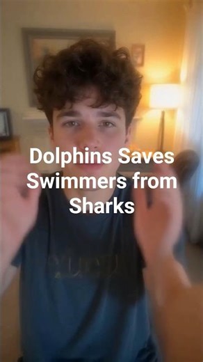 The Dolphin Rescues Swimmers From Sharks #dolphin #rescue #animals #realnews