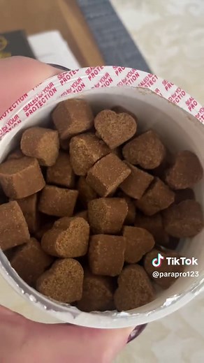 Dog Probiotic Chews for Sensitive Stomachs — Dog Digestive Support
