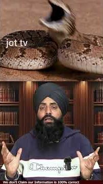 Mary’s Pet Python 🐍💰 Shocking Story from Arizona#PetPython #ArizonaStory #ExoticPets #DidYouKnow