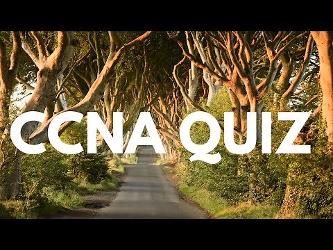 CCNA Dynamic Trunking Protocol (DTP) Quiz: Can you answer the ccna quiz questions?