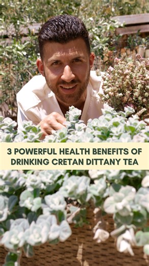 The Greek island of Crete is exclusively home to hundreds of wild herbs that grow on the mountains 🇬🇷 One famous medicinal plant that stands out from the rest is Cretan dittany or locally known in Greek as ‘Diktamo’ 🌱 Here are 3 powerful health benefits you’ll wish you knew about sooner 1. Anti inflammatory 🧬 Cretan dittany is rich in many special compounds called flavonoids which boost the body’s inflammatory defence. These anti inflammatory properties also aid with fluid regulation and sta