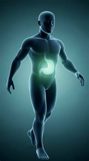 What If You Fasted 16 Hours a Day for 30 Days?