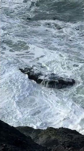 Relaxing Waves Crashing on Rocks | Ambient Sea Sounds