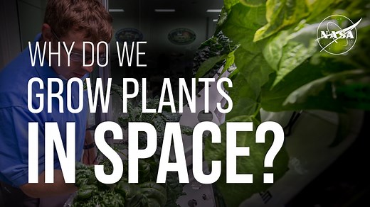 Why Do We Grow Plants in Space? - NASA