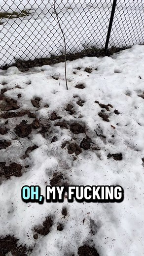 Managing Snowmelt and Dog Waste in Spring