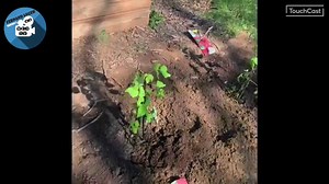 Flash info sur l'école.mp4