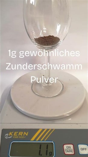 Zunderschwamm - Warum 1g nicht gleich 1g ist. Der Vergleich!