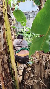 45K views · 275 reactions | Beatbox dog prank funny reaction #funnyreelsvideo #explorepage #comedy #funny #comedia | KuyaJoeblog | Facebook