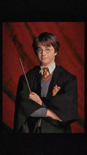 Harry Potter joining the trend...#harrypotter #hotelroom #hogwarts #jamespotter #viral #hp #fyp #fy