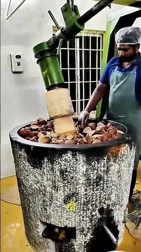 Start a Profitable Cold Press Oil Business! Chekku Machine Guide (Low Investment & High Demand)