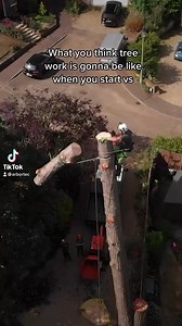 370K views · 574 reactions | Expectations vs reality for UK arborists part 2. #arbortec #treesurgeon #arblife | Arbortec Forestwear | Facebook