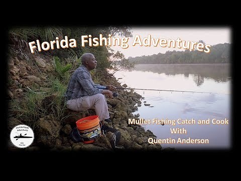 Learn How to go Mullet Fishing Catch and Cook in Yankeetown Florida