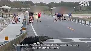9.1K views · 59 reactions | Moment huge alligator strolls across road in front of kids | The US Sun - News | Facebook