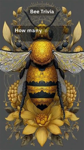 5 Mind-Blowing Bee Facts You Never Knew! 🐝🔥 | Bee Trivia #facts #didyouknow #funfacts #bee #insects