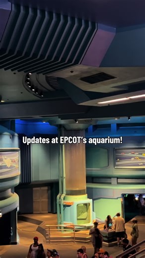 EPCOT Aquarium Updates: New Residents & More!