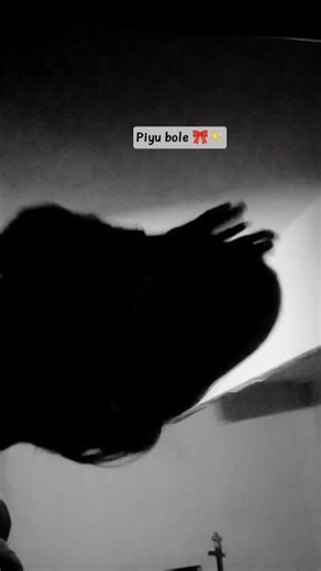 piyu bole 🎀 #midnight #viral