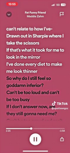 Fat Funny Friend Full Song Lyrics