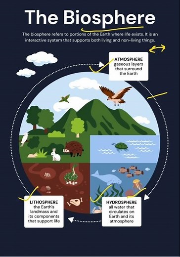 Biosphere | Ecology | Biology Diaries #neet #neetbiology #biology #science