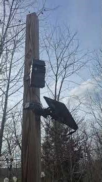 I ran this Trail Camera for 2 years without batteries!