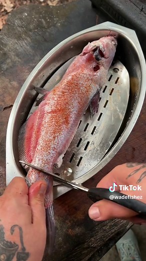 Asian Style Catfish Recipe | Easy Cooking & Outdoor Food