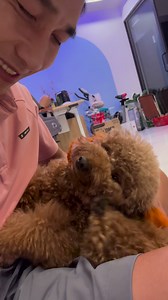 Bắp lơ Phan Phong sau khi đi spa về. | Phan Phong TV