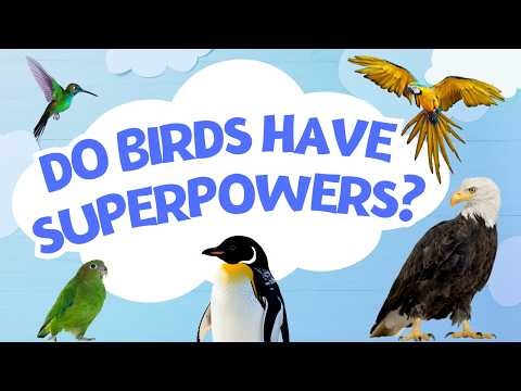 Amazing Birds For Kids 🐧 ⎮ Fun Bird Facts & Animal Science