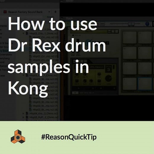 Dr Rex Slices in Kong: Reason QuickTip