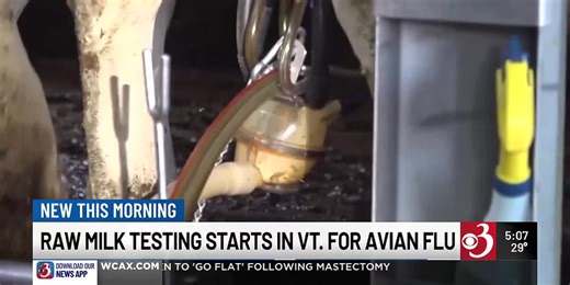 Milk testing underway for Vt. dairy farms
