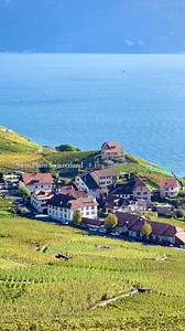 The terraced vineyards of the UNESCO region 📍Lavaux form Switzerland’s🇨🇭🇨🇭 largest contiguous vineyard area with terrace after terrace offering magnificent views. 🍇ไร่องุ่นขั้นบันไดของภูมิภาค Lavaux ของ #องค์การยูเนสโก เป็นพื้นที่ #ไร่องุ่น ที่อยู่ติดกันที่ใหญ่ที่สุดใน #สวิตเซอร์แลนด์ พร้อมทิวทัศน์พร้อมบรรยากาศที่สวยงามมากๆ 🍂🍁🍂🍁🍂🍁 #switzerland #unesco #vineyard #terrace #lavaux #schweiz #lausanne #montreux #ประเทศสวิตเซอร์แลนด์ | SwissPhim Switzerland