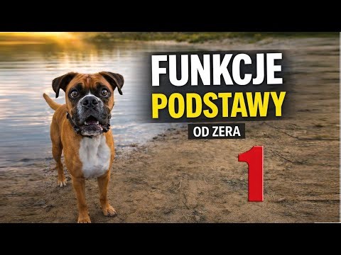 Funkcje - wszystko co musisz wiedzieć | Matura - część 1/3