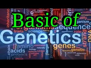 Basic of genetics Video Lecture - NEET