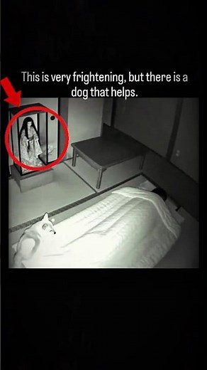 3 AM DOLL ATTACK! (Security Camera) 🎥