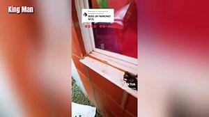 This is Real Small alien fell from space into the yard of a house next to his capsule Join group watch more: Mysterious Aliens & UFO Disclosure ✔ | Aliens UFO Caught on Camera