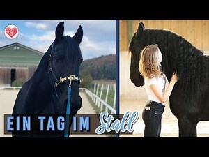 FMA | Erstes eigenes Pferd | VLOG 1 | Pilsali