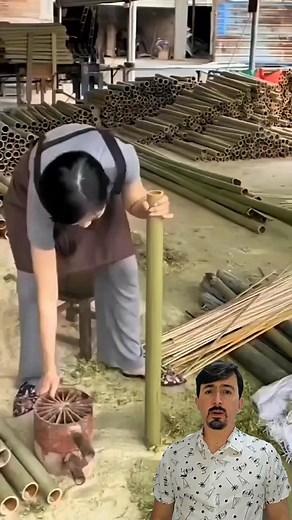 Toothpick manufacturing | Curiosity of Junior