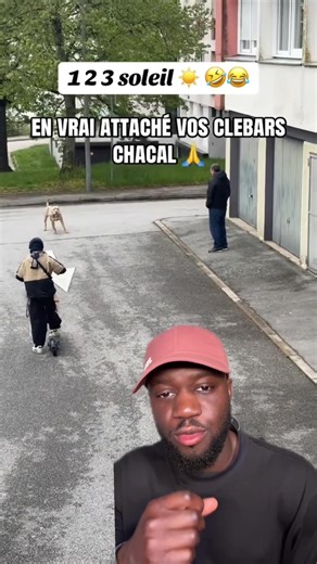 Le chien oblige la famille à jouer 123 soleil — vidéo drôle