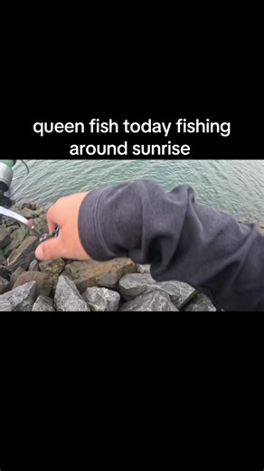 Catching Queenfish at Sunrise