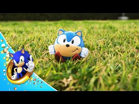 Blue Hedgehog Documentary: Hunter & Prey