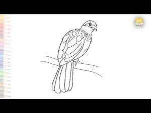Great blue turaco drawing easy | Art tutorial | How to draw Great blue turaco step by step easily