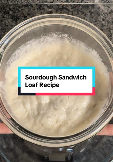 •Cover Dough and rest 1 hour •1 set of stretch and folds (repeat every hour for 2 more times; 3 stretch and folds in total) •Keep dough covered while resting until it has doubled in size (I recommend using the aliquot method to time this correctly) •Shape dough into a loaf shape by stretching dough into a rectangle and rolling it into a cylinder shape •Place dough into parchment paper lined sandwich loaf baking pan •Cover and rest 12-18 hours in refrigerator •Preheat Oven to 375 •Scoring is opti