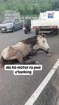 Kabayo sa Misamis Oriental, nakitang tumatakbo sa kalsada habang nakatali... | GMA Integrated News
